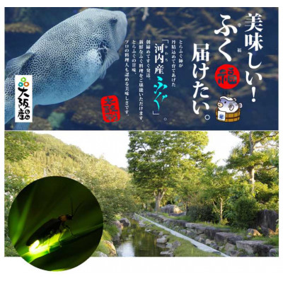 [河内とらふぐ]活き締めとらふぐ刺身用ブロック・皮の湯引き(冷蔵品・生食用)【配送不可エリア注意】
