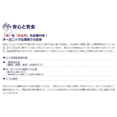 [河内とらふぐ]活き締めとらふぐ刺身用ブロック・皮の湯引き(冷蔵品・生食用)【配送不可エリア注意】