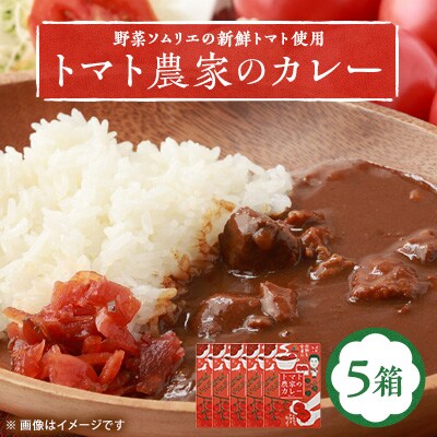 【大阪産】トマト農家のカレー5箱　簡単便利でとってもおいしいあると便利な一品/保存食にも便利