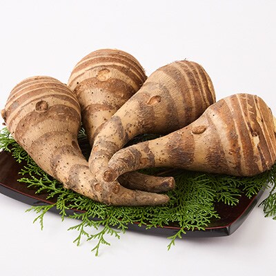 GIとんだばやしの海老芋　～令和の大嘗祭御奉納品～