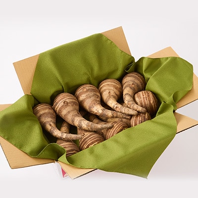 GIとんだばやしの海老芋　～令和の大嘗祭御奉納品～