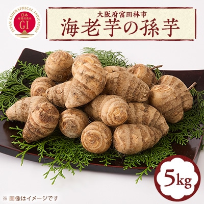 GI富田林の海老芋の孫芋 5kg×1箱