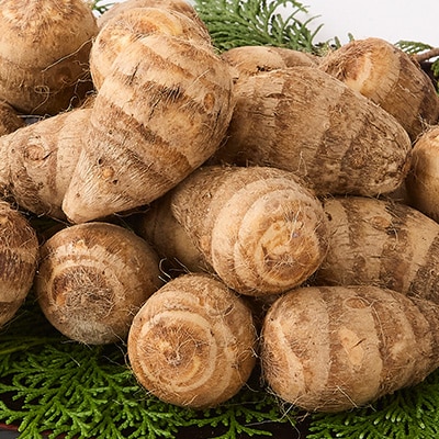 GI富田林の海老芋の孫芋 5kg×1箱