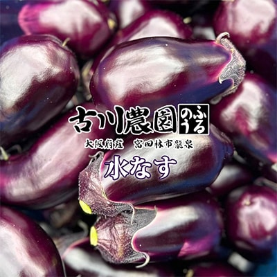 【20本】古川農園　「生水なす」2個入×10袋　そのまま食べられる青果で水なすを産地直送でお届け!