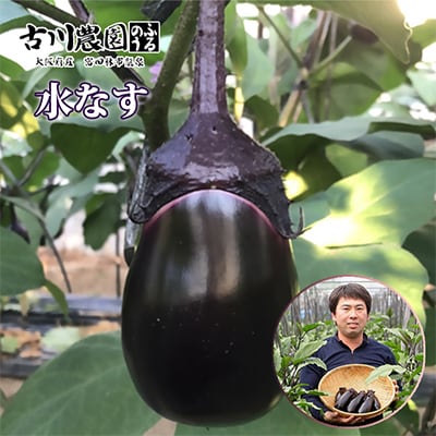 【20本】古川農園　「生水なす」2個入×10袋　そのまま食べられる青果で水なすを産地直送でお届け!