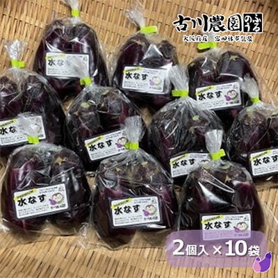 【産地直送】古川農園　「水なす」そのまま食べられる生野菜でお届け!2個入×10袋