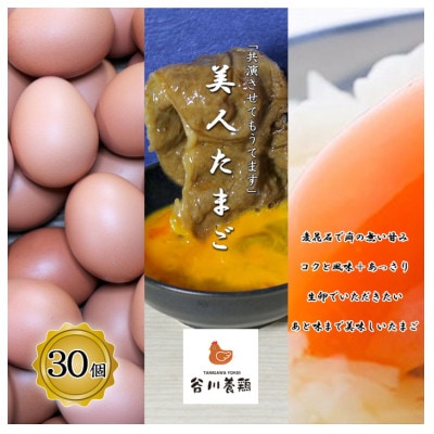 【生みたて濃厚】谷川養鶏の美人たまご　30ヶ入り(※サイズ指定できません)