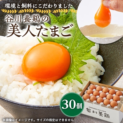 【生みたて濃厚】谷川養鶏の美人たまご　30ヶ入り(※サイズ指定できません)