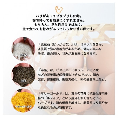 【生みたて濃厚】谷川養鶏の美人たまご　30ヶ入り(※サイズ指定できません)