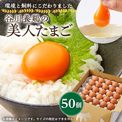 【生みたて濃厚】谷川養鶏の美人たまご　50ヶ入り(※サイズ指定できません)