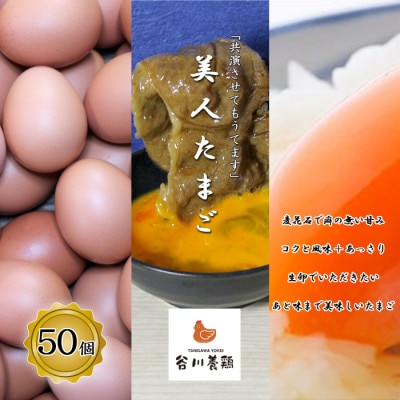 【生みたて濃厚】谷川養鶏の美人たまご　50ヶ入り(※サイズ指定できません)