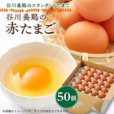 【生みたて濃厚】谷川養鶏の赤たまご　50ヶ入り(※サイズ指定できません)