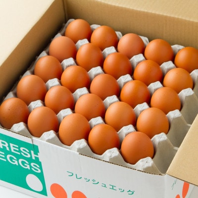 【生みたて濃厚】谷川養鶏の赤たまご　50ヶ入り(※サイズ指定できません)