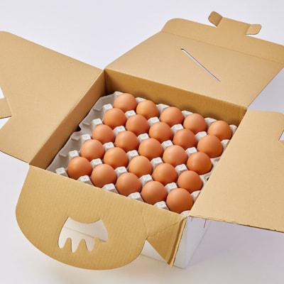 【生みたて濃厚】谷川養鶏の赤たまご　50ヶ入り(※サイズ指定できません)