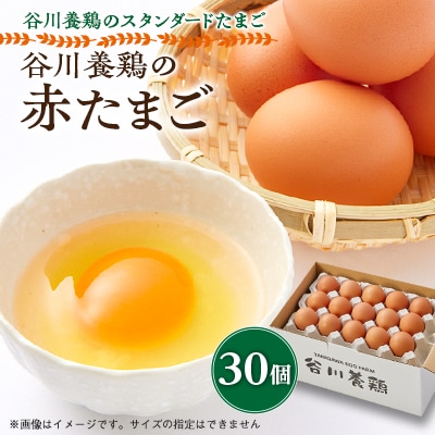 【生みたて濃厚】谷川養鶏の赤たまご　30ヶ入り(※サイズ指定できません)