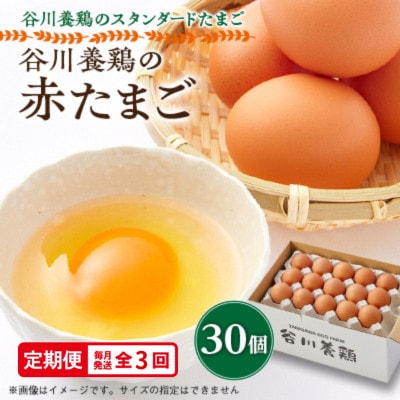【毎月定期便】計90個【生みたて濃厚】谷川養鶏の赤たまご30ヶ入り(※サイズ指定できません)全3回