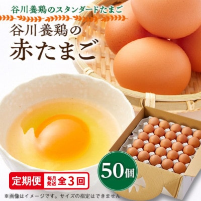 【毎月定期便】計150個【生みたて濃厚】谷川養鶏の赤たまご50ヶ入り(※サイズ指定できません)全3回