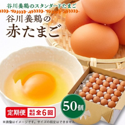 【毎月定期便】計300個【生みたて濃厚】谷川養鶏の赤たまご50ヶ入り(※サイズ指定できません)全6回