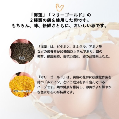 【毎月定期便】計300個【生みたて濃厚】谷川養鶏の赤たまご50ヶ入り(※サイズ指定できません)全6回