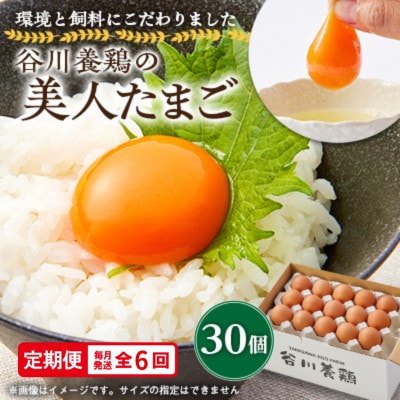 【毎月定期便】計180個【生みたて濃厚】谷川養鶏の美人たまご30ヶ入り　※サイズ指定できません全6回