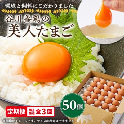 【毎月定期便】計150個【生みたて濃厚】谷川養鶏の美人たまご50ヶ入り　※サイズ指定できません全3回