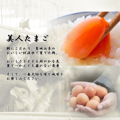 【毎月定期便】計300個【生みたて濃厚】谷川養鶏の美人たまご50ヶ入り　※サイズ指定できません全6回