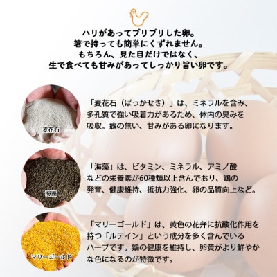 【毎月定期便】計300個【生みたて濃厚】谷川養鶏の美人たまご50ヶ入り　※サイズ指定できません全6回