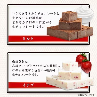 【プロ仕様】生チョコレート詰め合わせ(スイート　ミルク　イチゴ　抹茶　マンゴー)　5種類×1袋