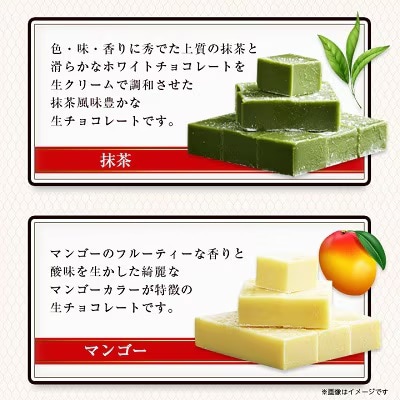 【プロ仕様】生チョコレート詰め合わせ(スイート　ミルク　イチゴ　抹茶　マンゴー)　5種類×1袋