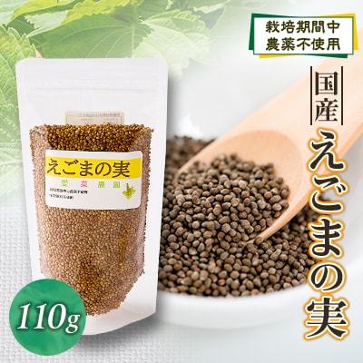 ≪110g×1≫　国産えごまの実　パックチャック(ジッパー)付き　大阪産(もん)認定品
