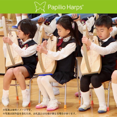 日本人気超絶の 楽器】幼児教育用ケルティックハープ 15弦・eハープスタート 洋楽