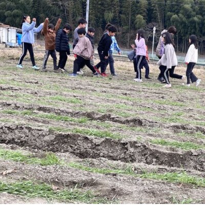 小学生が麦踏みして育った国産小麦!富田林産「全粒粉」2kgセット