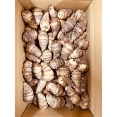 【GI認証取得】とんだばやしの海老芋の孫芋　1箱(5kg)