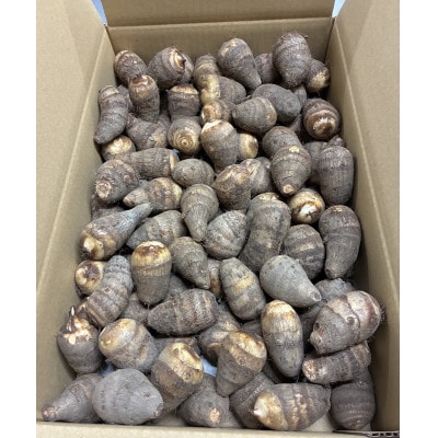 【GI認証取得】とんだばやしの海老芋の孫芋　1箱(5kg)