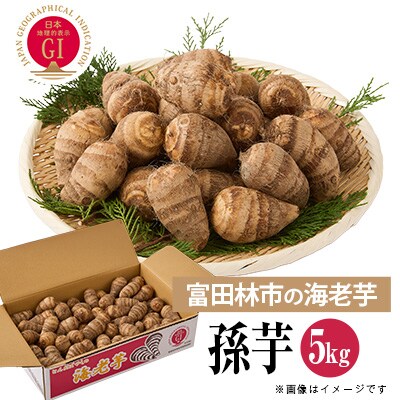 【GI認証取得】とんだばやしの海老芋の孫芋　1箱(5kg)