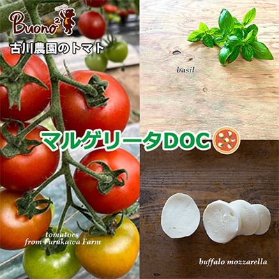 【2枚】古川農園のトマトと水牛モッツァレラチーズのマルゲリータDOC ピッツァ