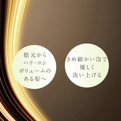 プテロ　ARシャンプー　グランディール　700ml