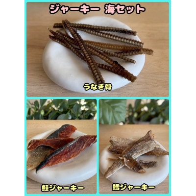 【ふるさと納税限定セット】【わんちゃん用ペットフード】ジャーキー海セット