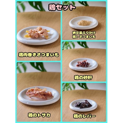 【ふるさと納税限定セット】【わんちゃん用ペットフード】WalkyHoliday 鶏セット5種