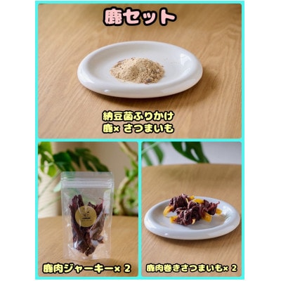 【ふるさと納税限定セット】【わんちゃん用ペットフード】 WalkyHoliday 鹿セット