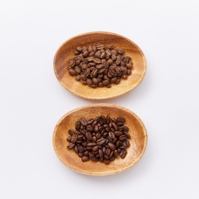 【豆:2種計400g】自家焙煎コーヒー豆(200g×2)　里山ROASTERYお楽しみセット