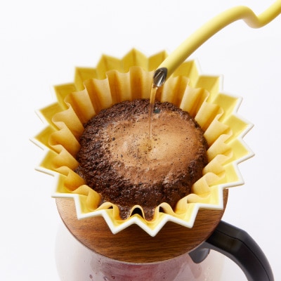 【豆:2種計400g】自家焙煎コーヒー豆(200g×2)　里山ROASTERYお楽しみセット