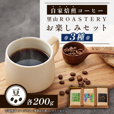 【豆:3種計600g】自家焙煎コーヒー豆(200g×3)　里山ROASTERYお楽しみセット