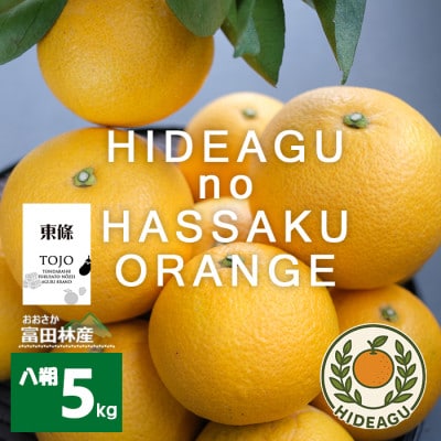 はっさく　大阪富田林市東條産5kg【ヒデアグ】東向き斜面で育てた、みずみずしく美味しい自然派八朔
