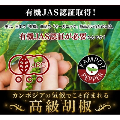 生胡椒 塩漬け 50g×3P カンポットペッパー