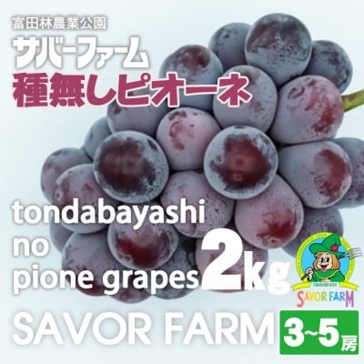 種なしピオーネ　2kg(3～5房)