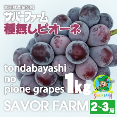 種無しピオーネ1kg(2～3房)