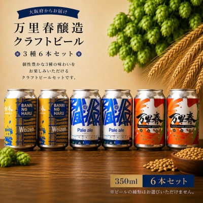 【ブルワー厳選】 万里春醸造クラフトビール 3種飲み比べ 6本セット