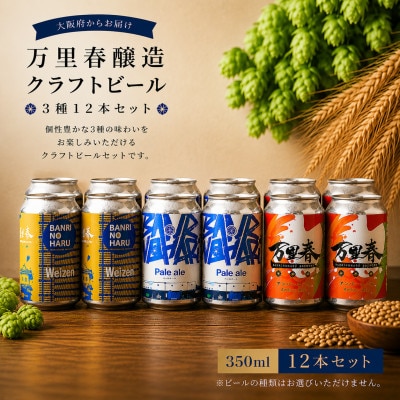 【ブルワー厳選】 万里春醸造クラフトビール 3種飲み比べ 12本セット