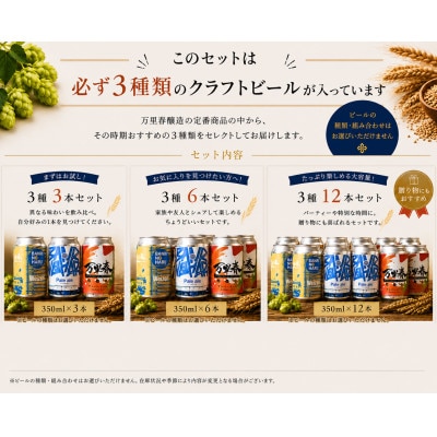 【ブルワー厳選】 万里春醸造クラフトビール 3種飲み比べ 12本セット
